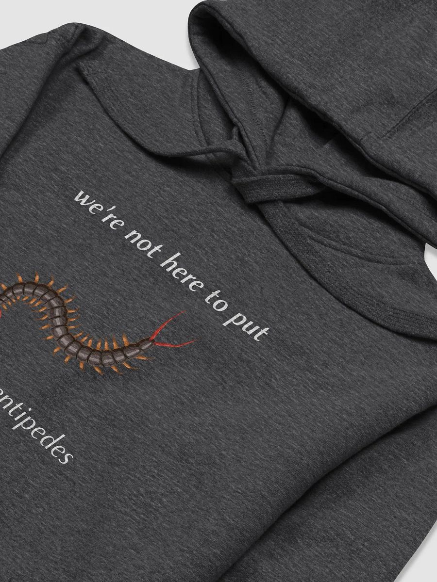 Socks on Centipedes Unisex Hoodie product image (2)