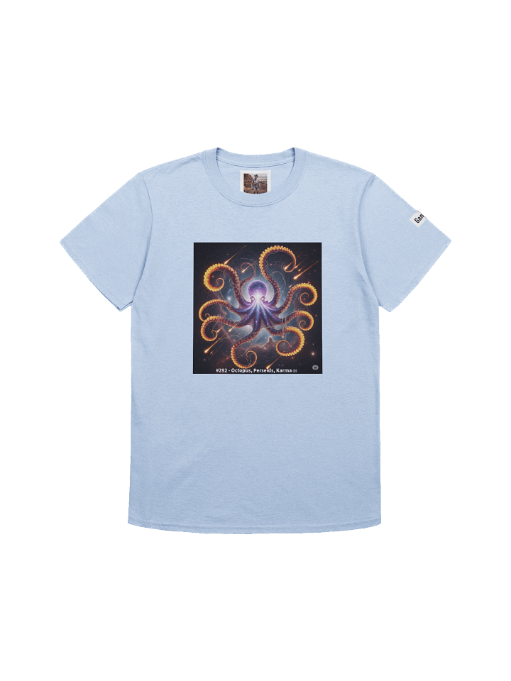 #292 - The Cosmic Karma Tee - Goldie product image (2)