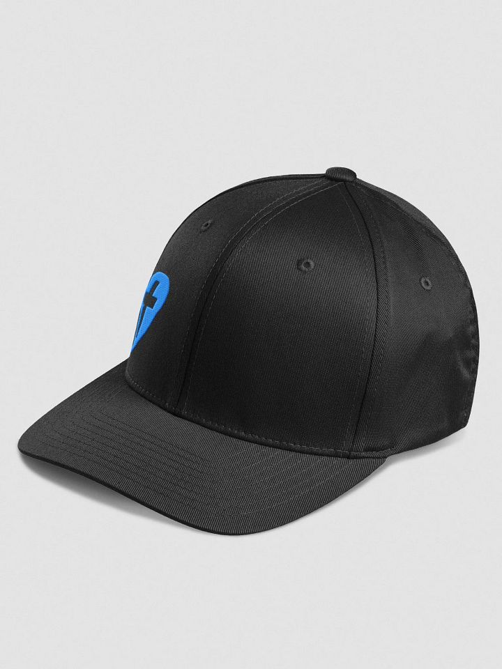 Acoustic Selection Custom Flex Fit Hat product image (3)