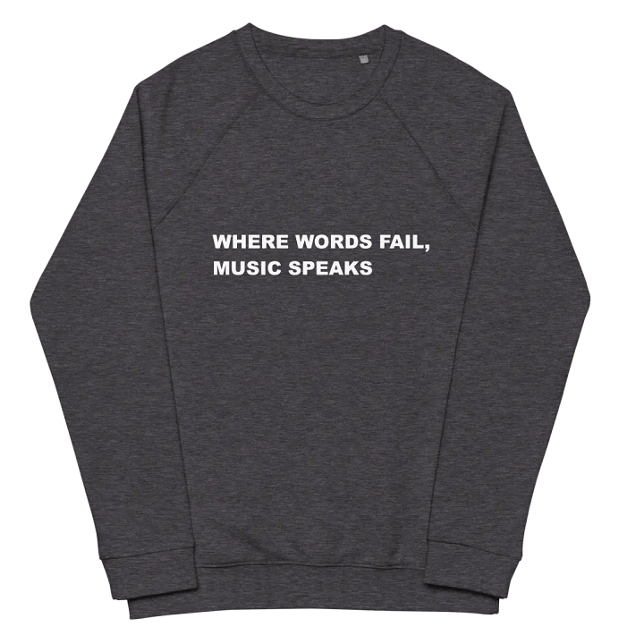 MUSIC SPEAKS TEE IN CHARCOAL product image (2)