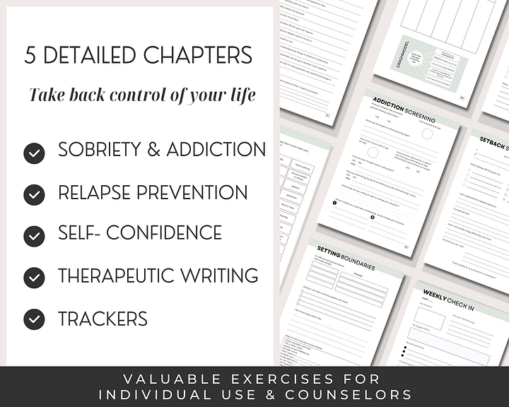 Addiction Recovery Workbook and Sobriety Journal - DIGITAL product image (2)