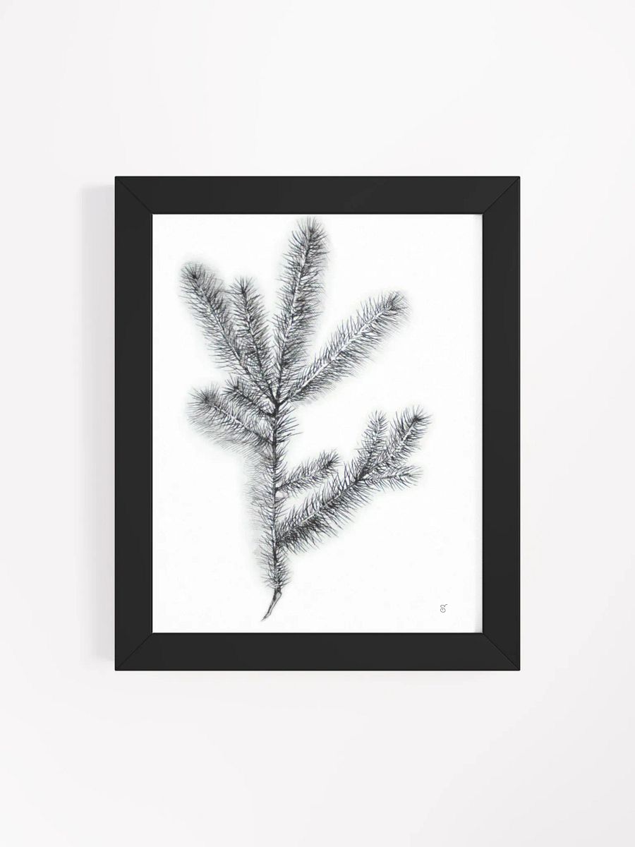 Botanical Bliss Framed Matte Poster - Spruce Branch product image (10)