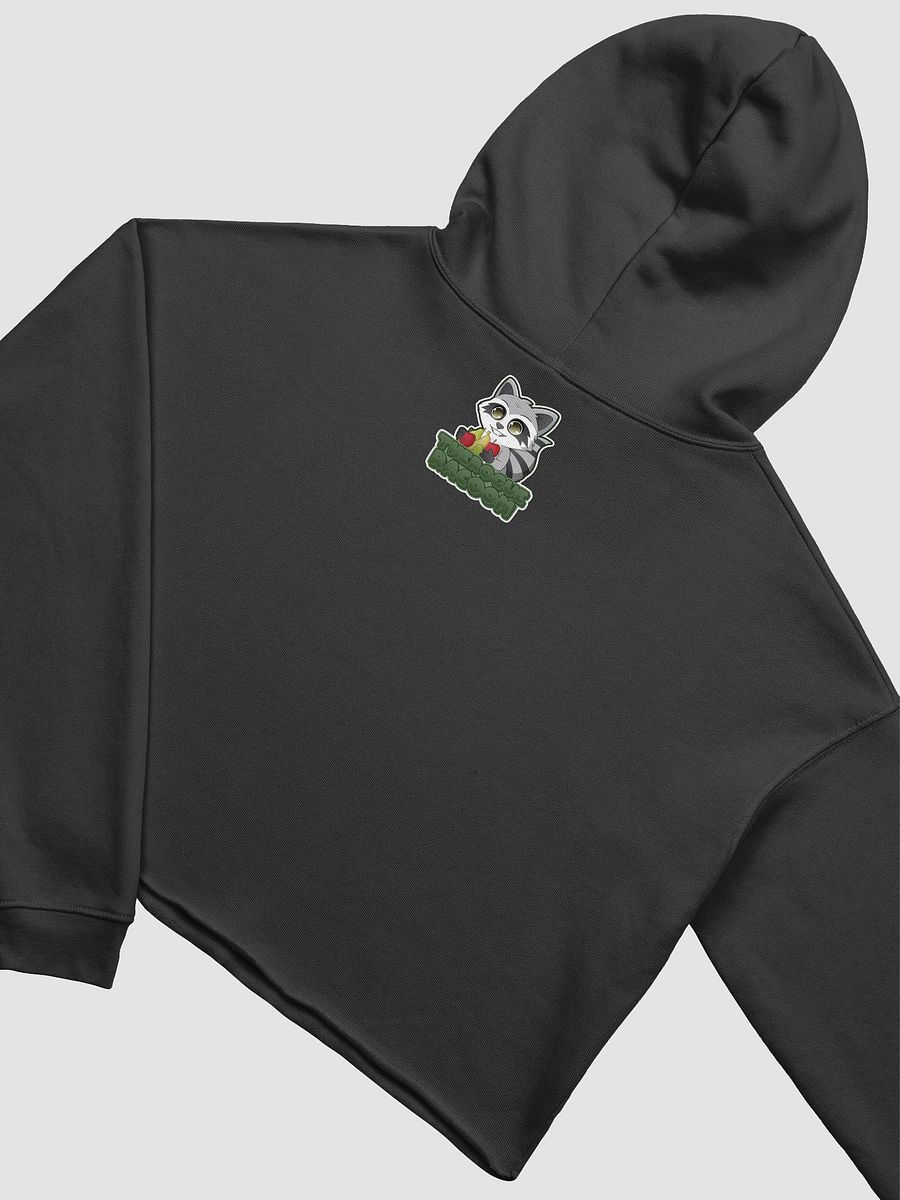 Tri-Trash CROP TOP HOODIE product image (4)