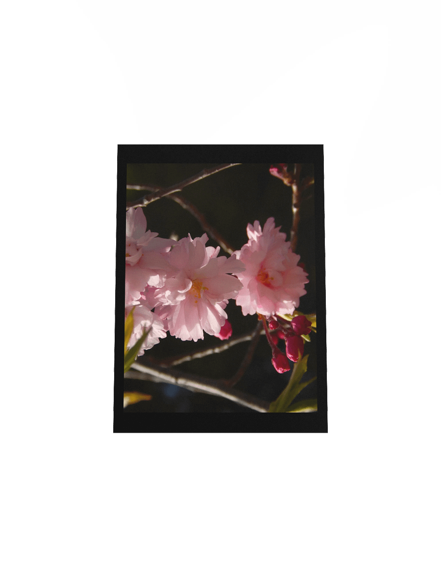 Pink Flowers product image (4)
