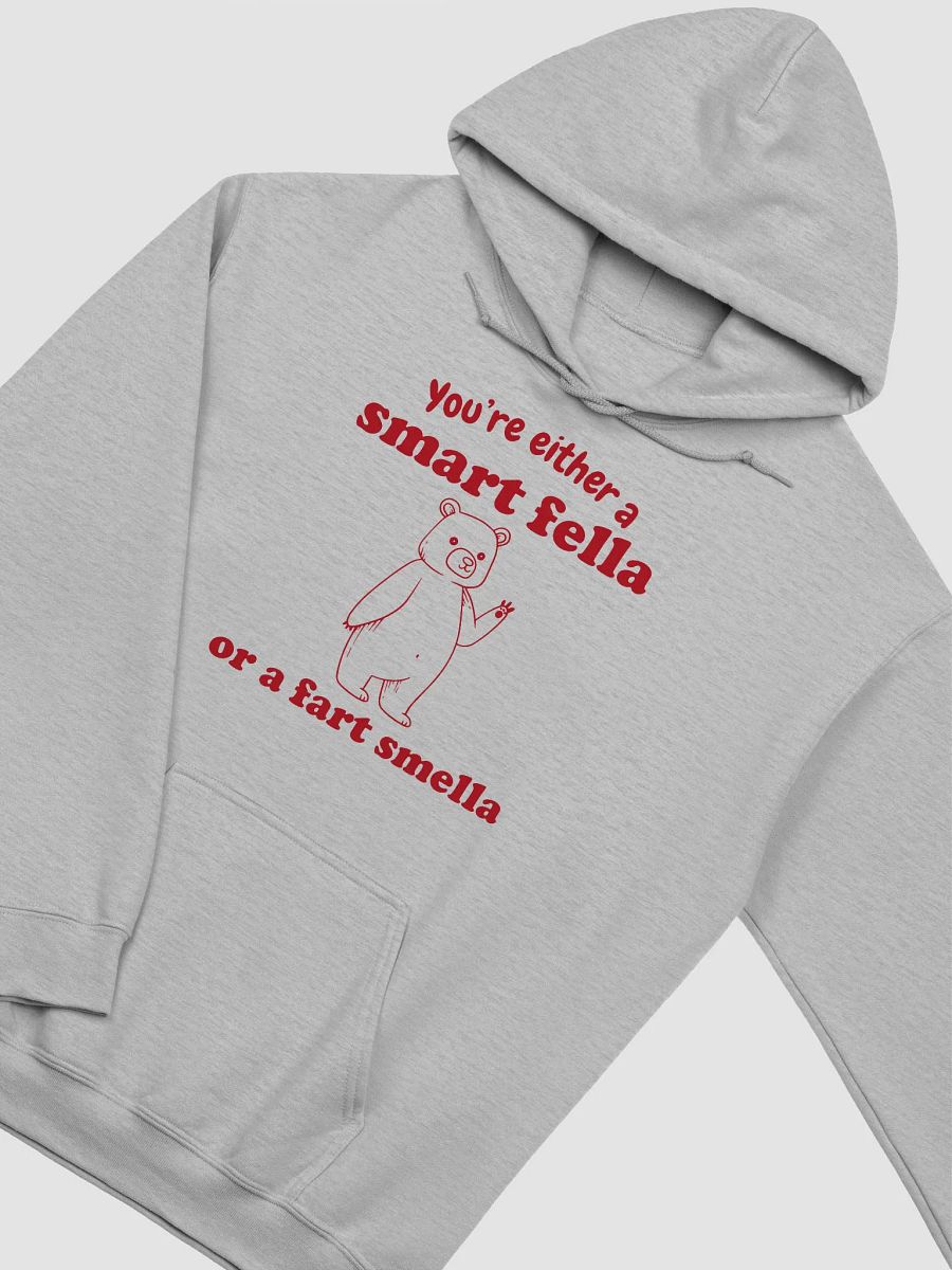 You're either a smart fella or a fart smella Hoodie product image (3)