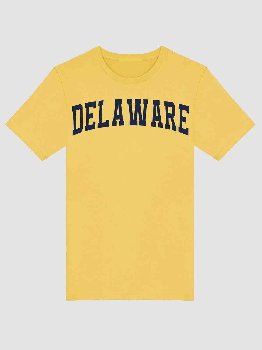 Delaware Vintage Varsity Supersoft Unisex T-Shirt product image (5)