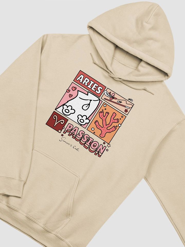 Aries Hoodie product image (1)