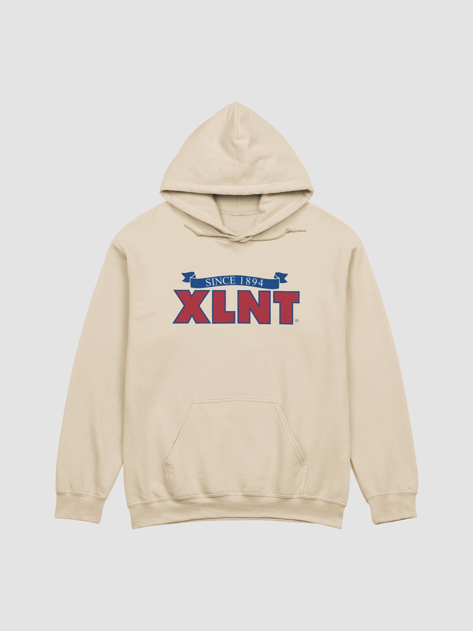 XLNT Foods Logo Hoodie product image (10)