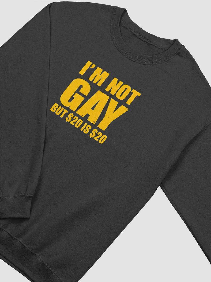 I'm Not Gay But $20 Is $20 Sweatshirt - Funny Graphic Sweatshirt for Men/Women product image (2)