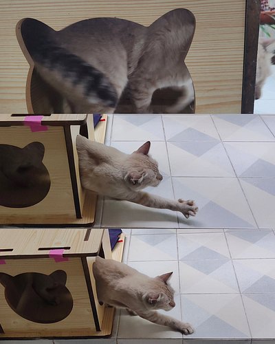😺นอนเต็มอิ่มแล้ว ต้องลุกมากินให้อิ่มท้องด้วย

#cats #catsofinstagram #catstagram #catlover #catlife #catoftheday #tabbycat #s...