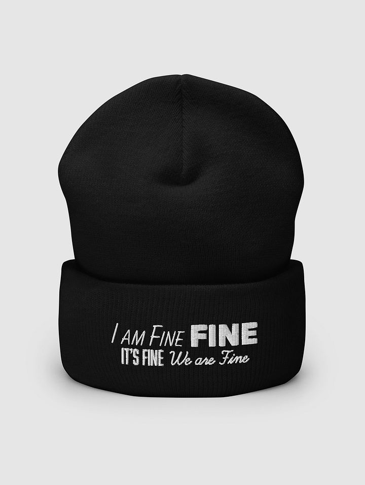FINE Cuffed Beanie product image (2)