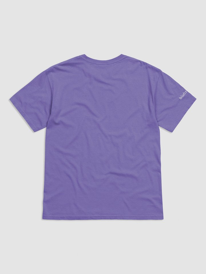 Pumpkin D20 Comfort Colors T-Shirt! product image (8)
