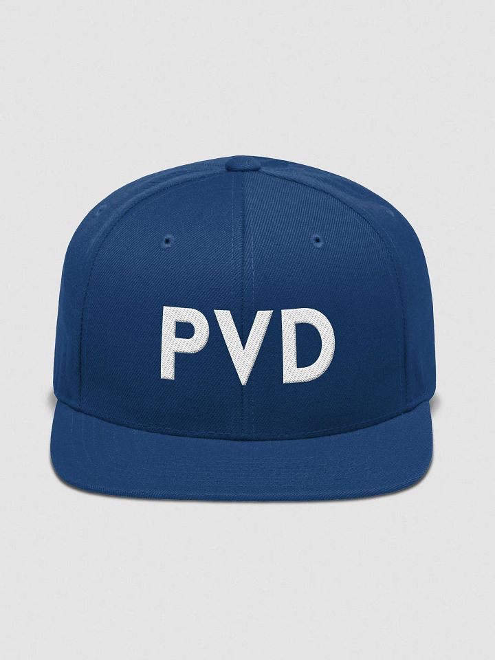 PVD, Embroidered Wool Blend Cap product image (8)