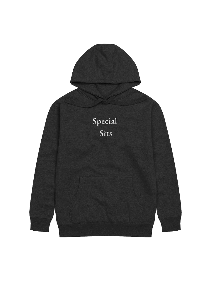 Special Sits - Hoodie product image (1)