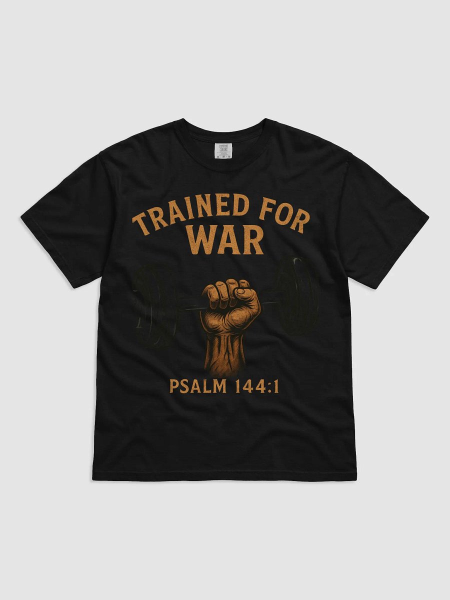 Trained for War tee product image (4)