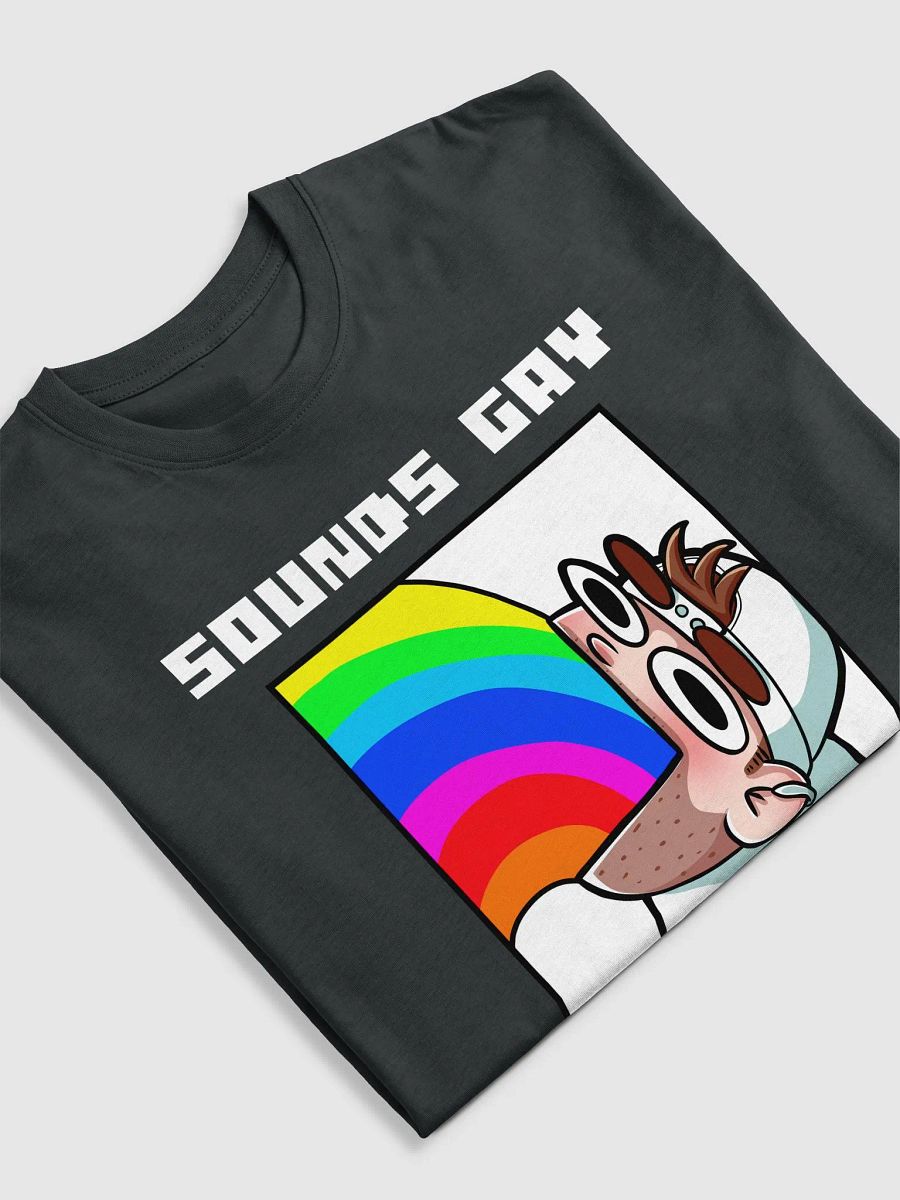 Sounds Gay I'm In Alt Premium Heavyweight Tee product image (3)