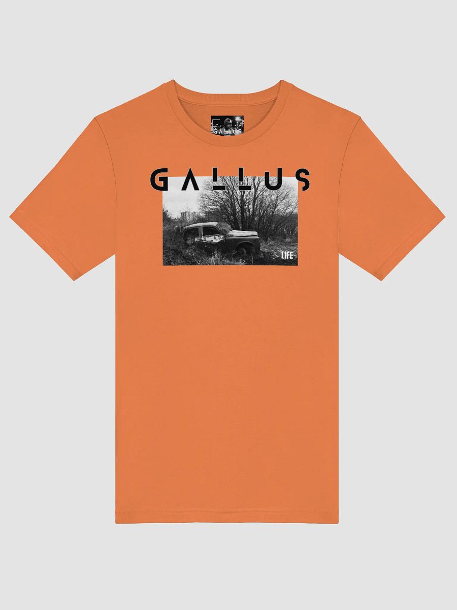 Gallus 2025 Life Collection product image (45)