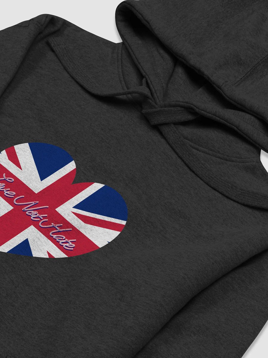 Love Not Hate Hoodie product image (19)
