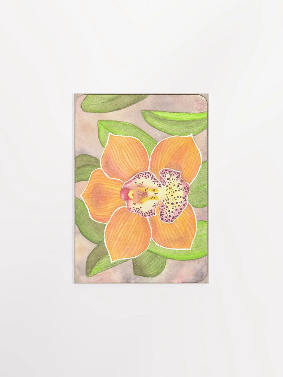 Orchid, Barrita Eminence product image (1)