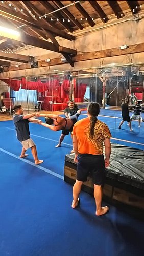 REPS REPS REPS 💪 #circus #circusarts #acro #partneracro #partneracrobatics #swings