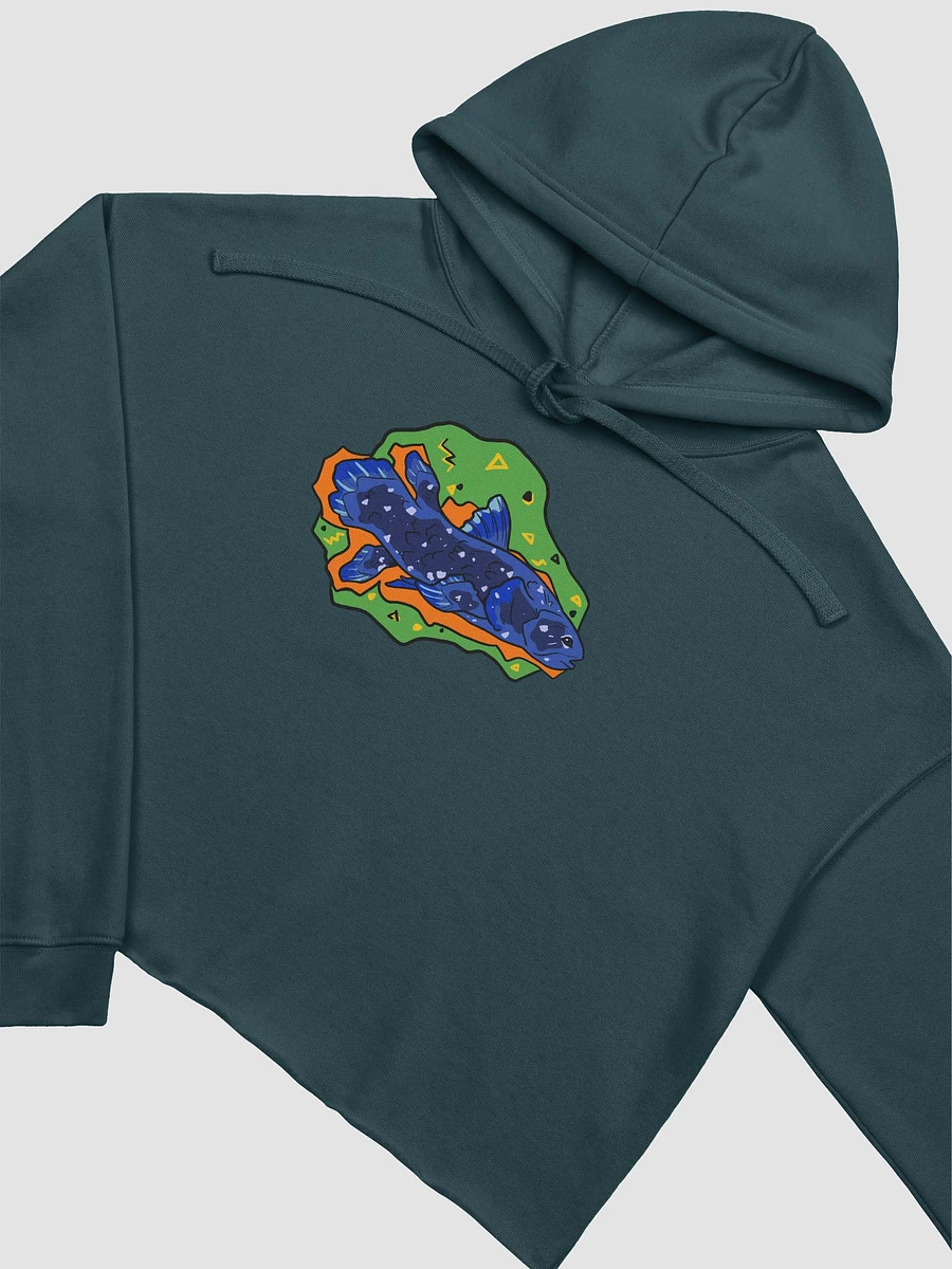 Vaporcoelacanth fleece crop hoodie product image (4)