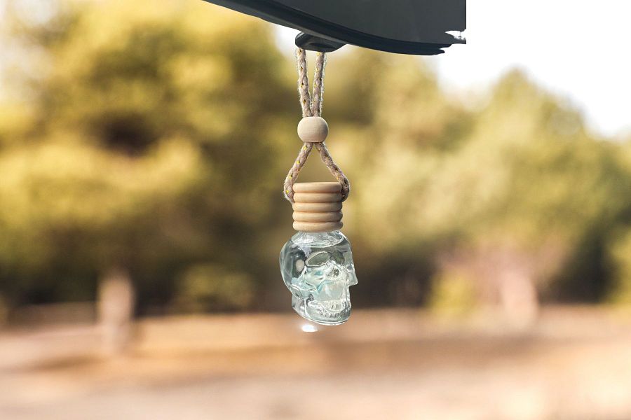 Luxury Skull car freshener product image (2)