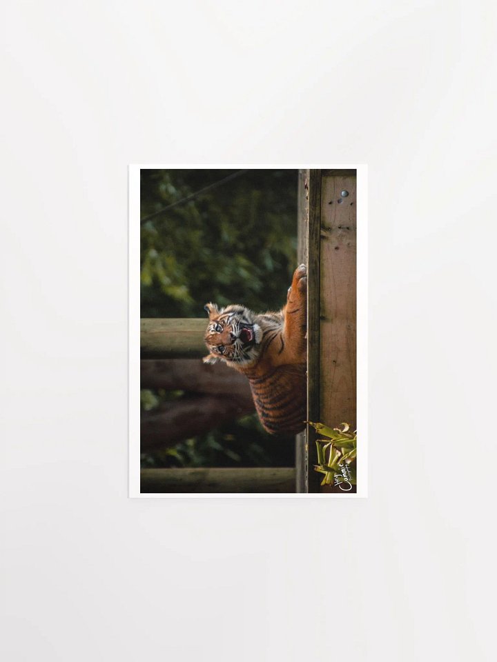 The Happy Cub - Print product image (1)