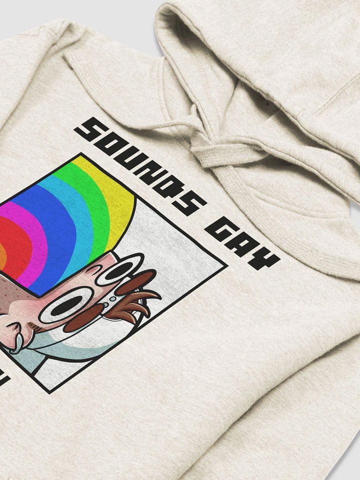 Sounds Gay I'm In Premium Hoodie product image (2)