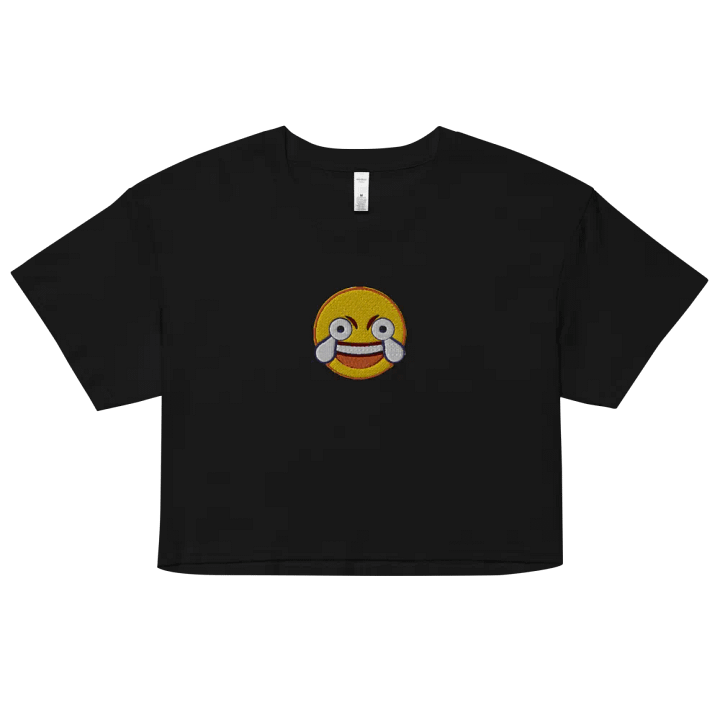Lul Embroidered Crop Top product image (2)