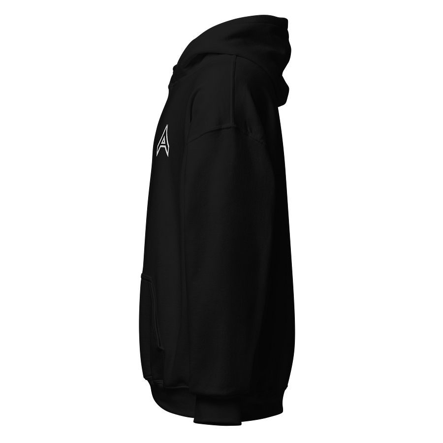 AWOL Embroidered Hoodie product image (11)