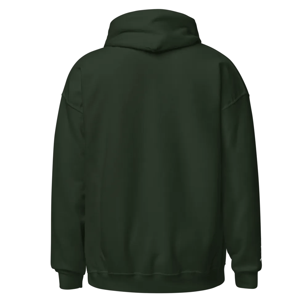 JBL3 Louisville Colonels Hoodie product image (2)