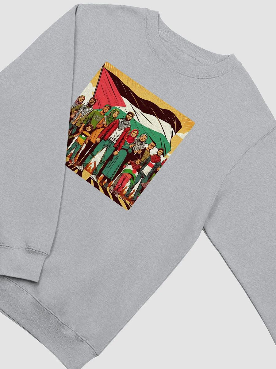 Unity Flag Premium Crewneck | Free palestine product image (11)