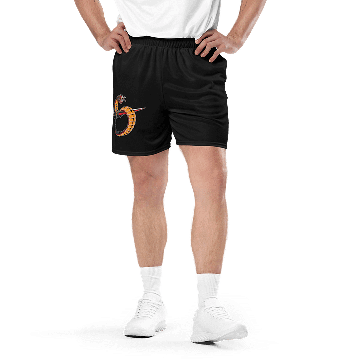 Voices in My Head Mesh Shorts product image (1)
