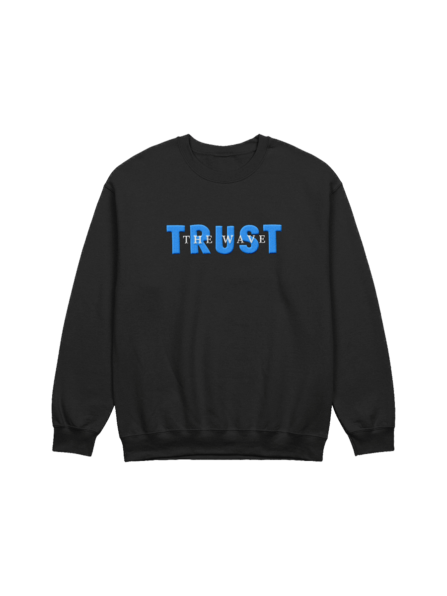 Trust the Wave Human Design Emotional Authority Sweatshirt product image (2)
