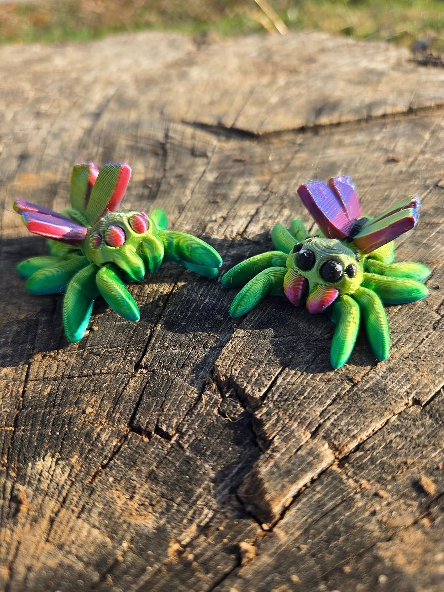 Adopt a Spider! product image (5)