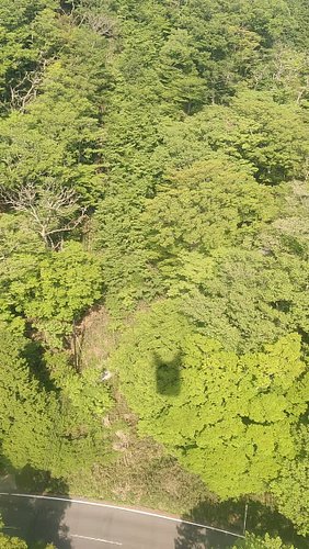 hakone cablecar starting from #ashilake to the top of the volcano from which you can see mount Fuji.

The forest below is com...