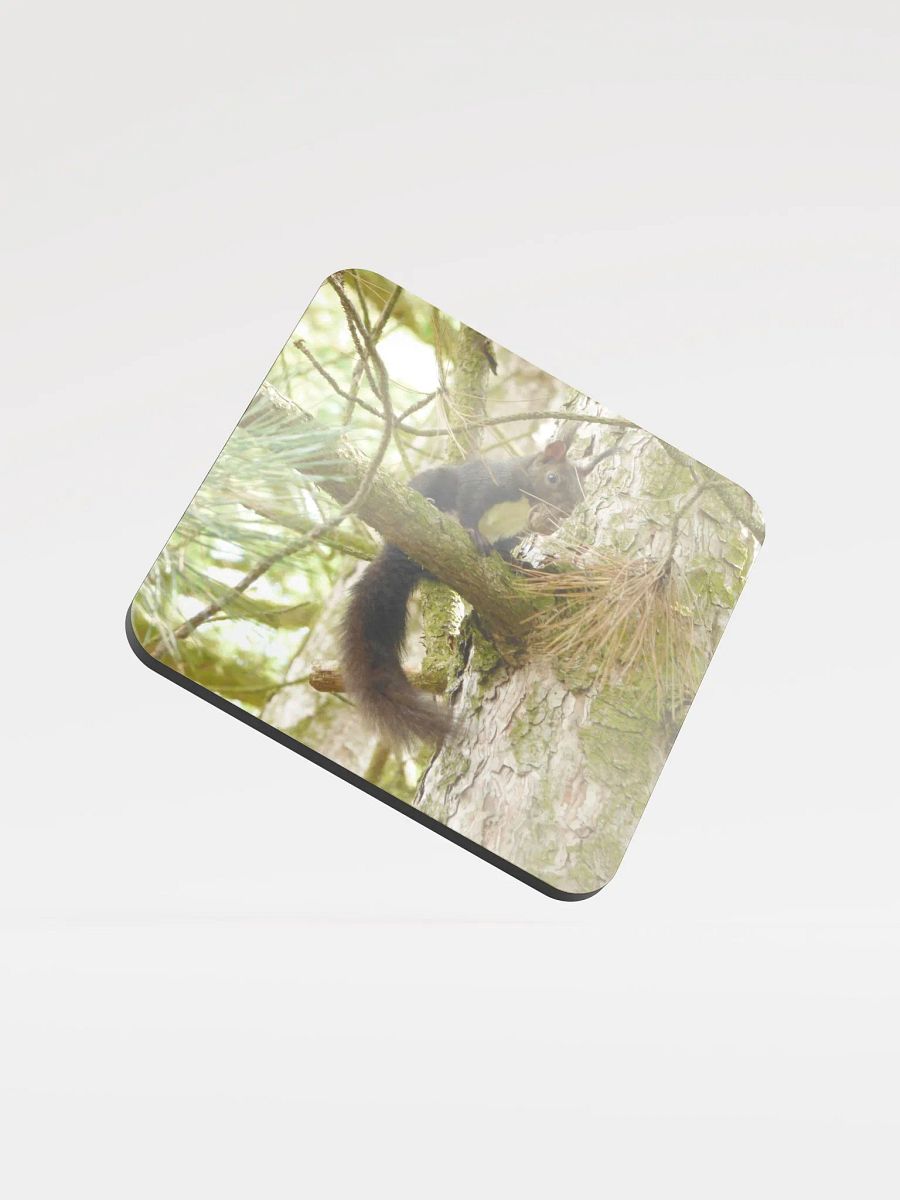 Glossed Cork Coaster - The Eurasian red squirrel product image (1)