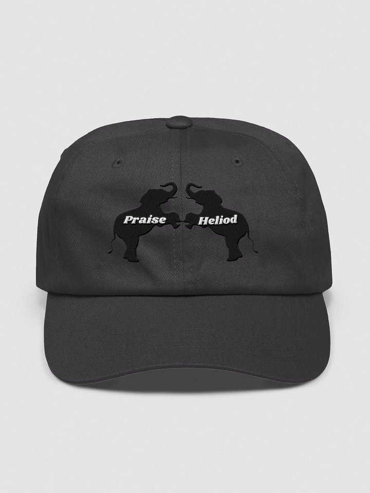 Praise Heliod Hat product image (2)