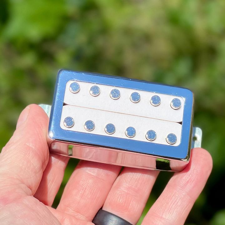 OG Slug Fest Humbucker product image (1)