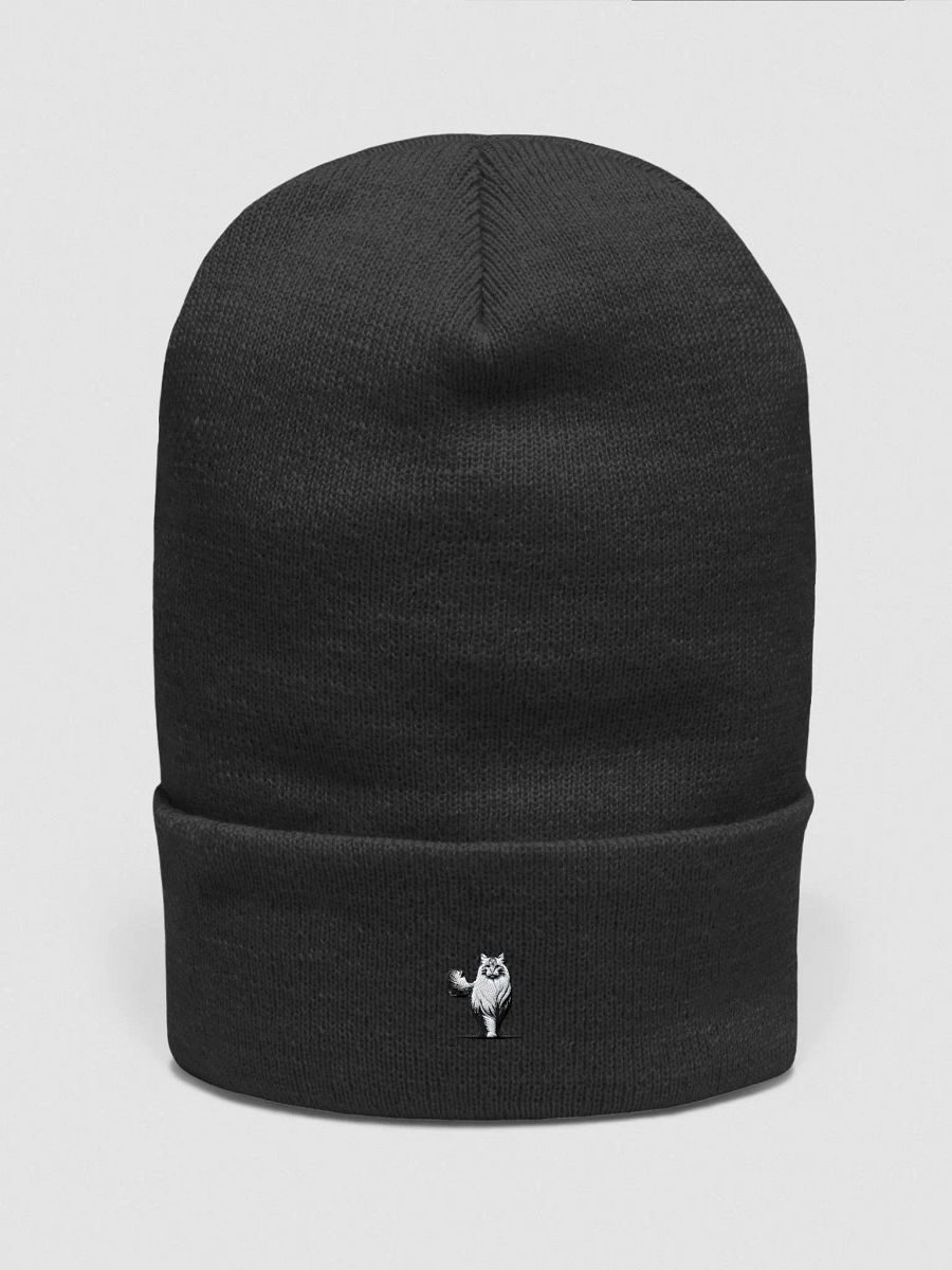 Yupoong Cuffed Beanie: Siberian product image (2)