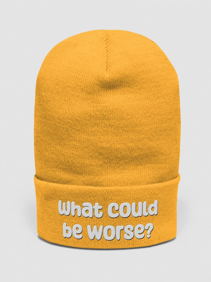 What Could Be Worse? Beanie - bold colours product image (2)