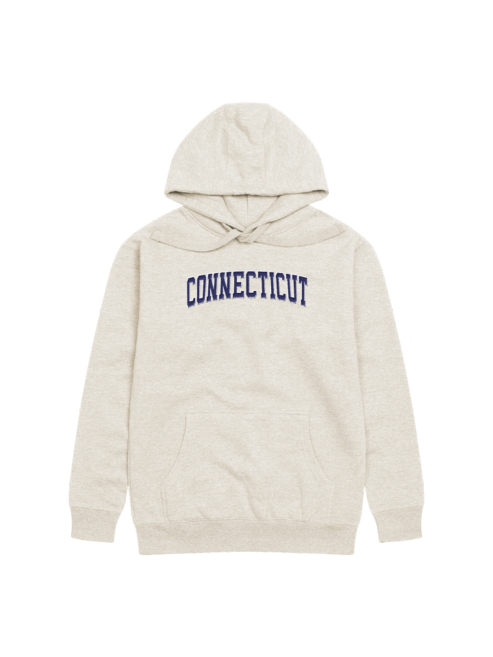 Connecticut Vintage Stylish Embroidery Unisex Premium Hoodie product image (1)