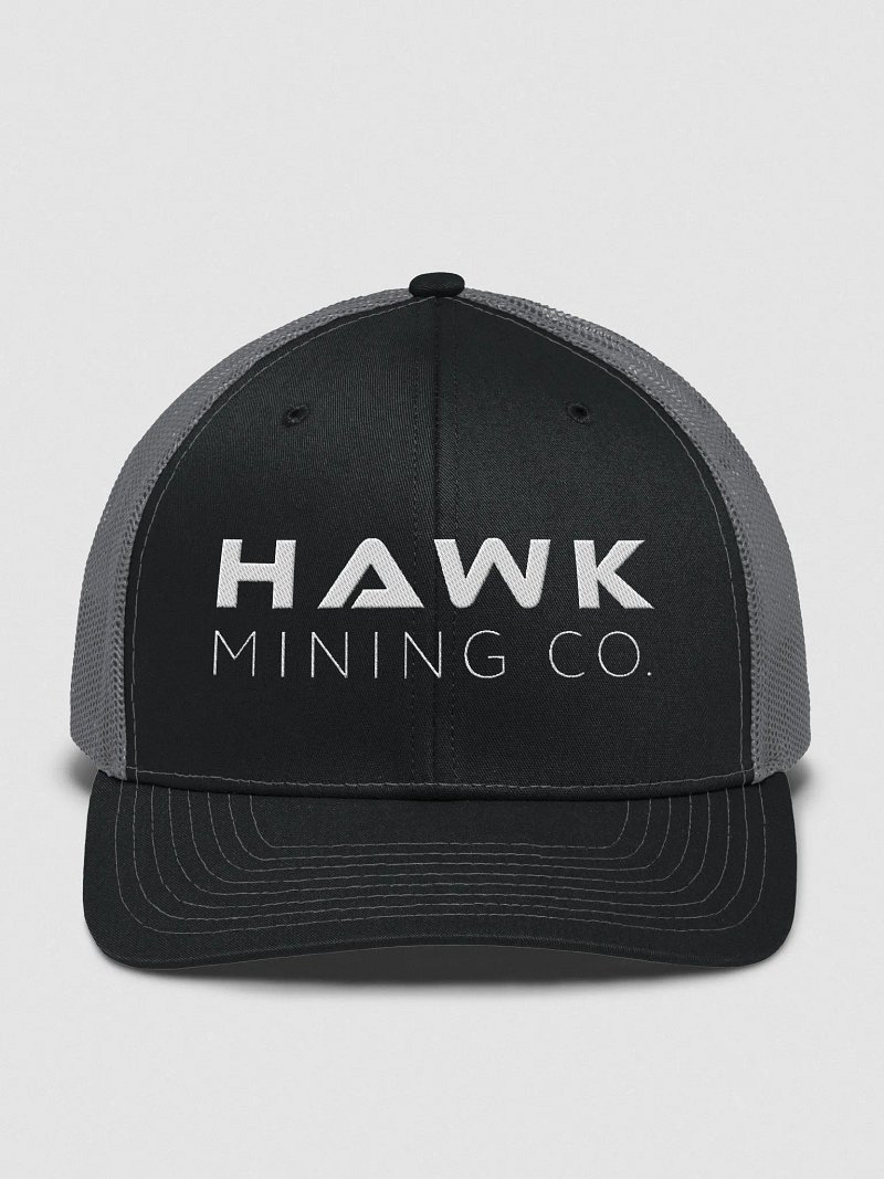 NEW Hawk Trucker Hat