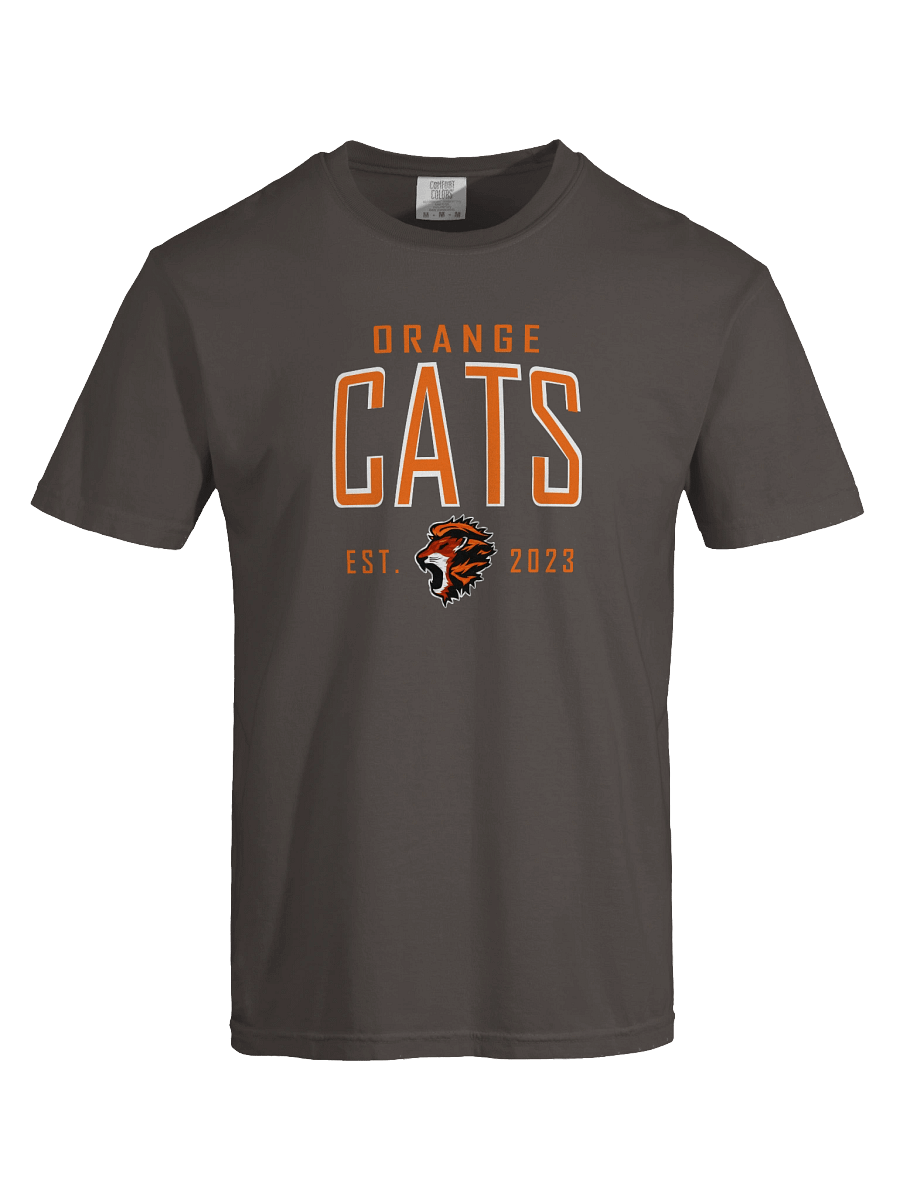 Orange Cats EST 2023 T-Shirt product image (1)