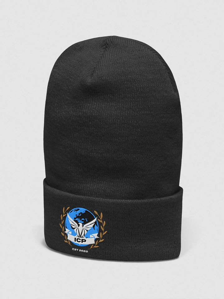 ICP Beanie product image (2)