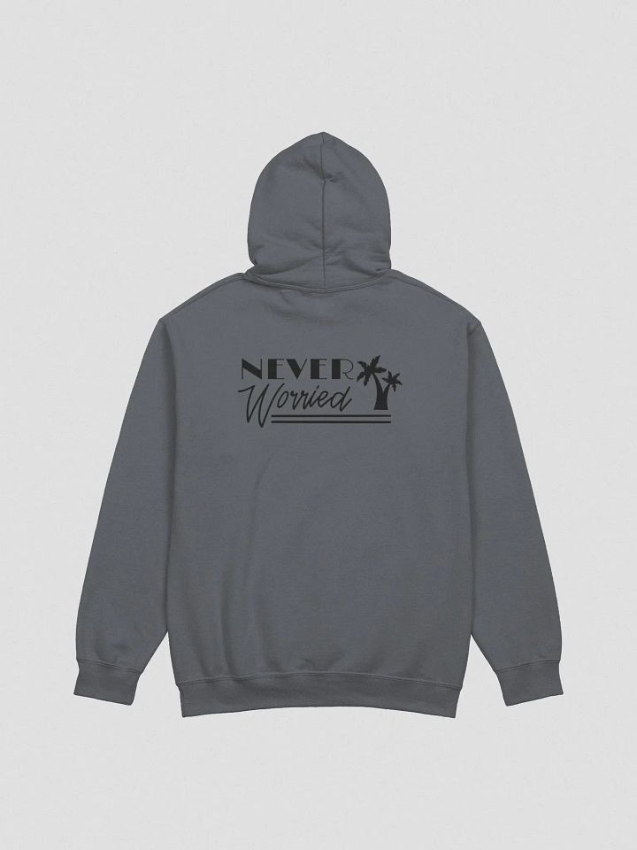 Never Worried Gildan Hoodie product image (9)