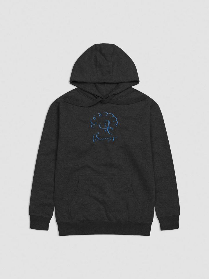 EMBROIDERED SIGNATURE HOODIE (Blue Signature) product image (1)