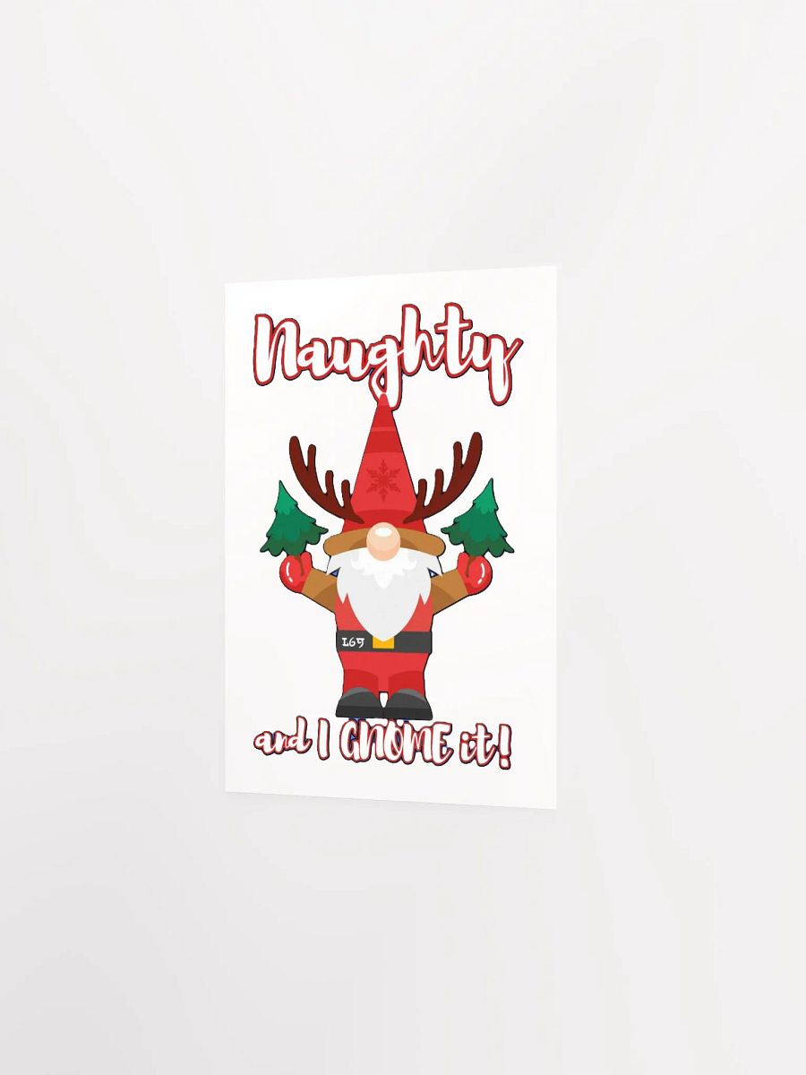 NAUGHTY AND I GNOME IT product image (9)