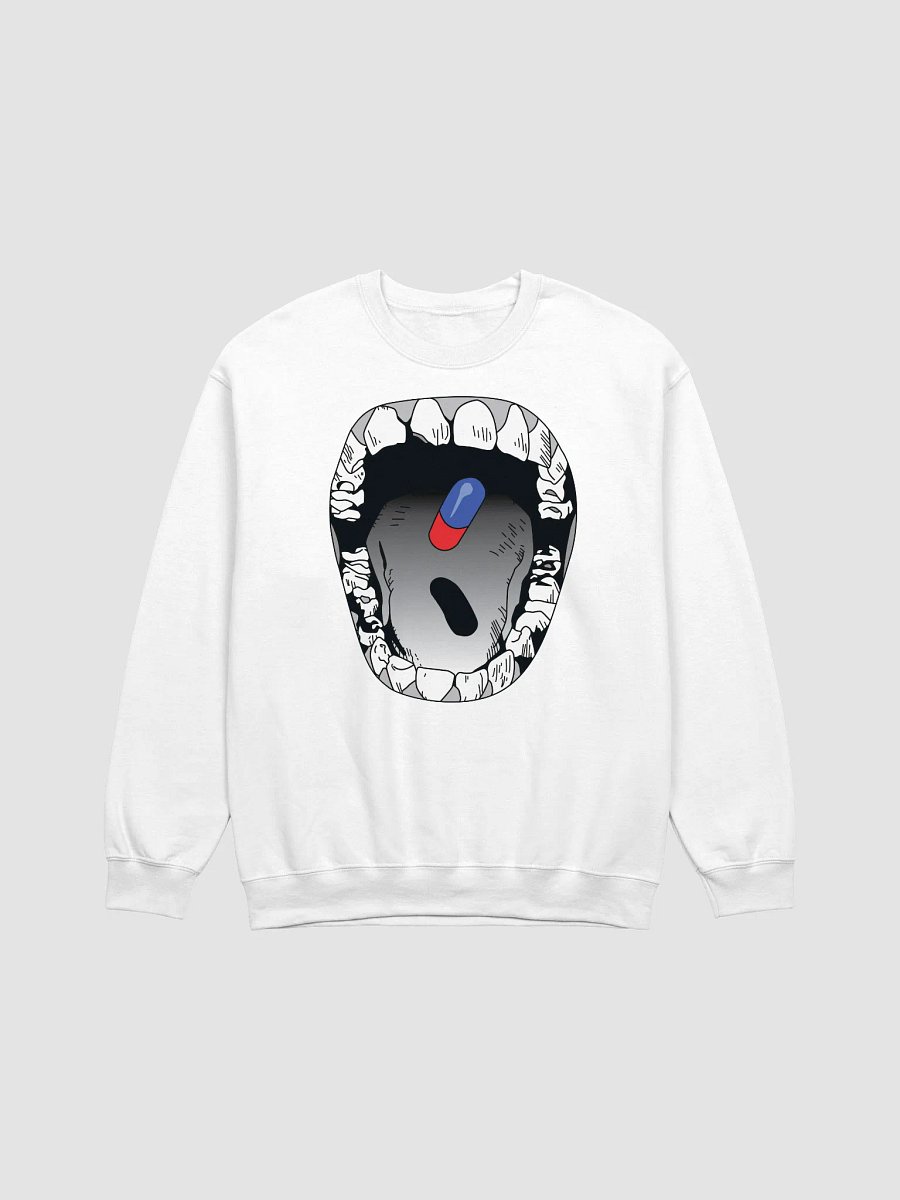 tastelikecandy V3 swtshrt product image (5)