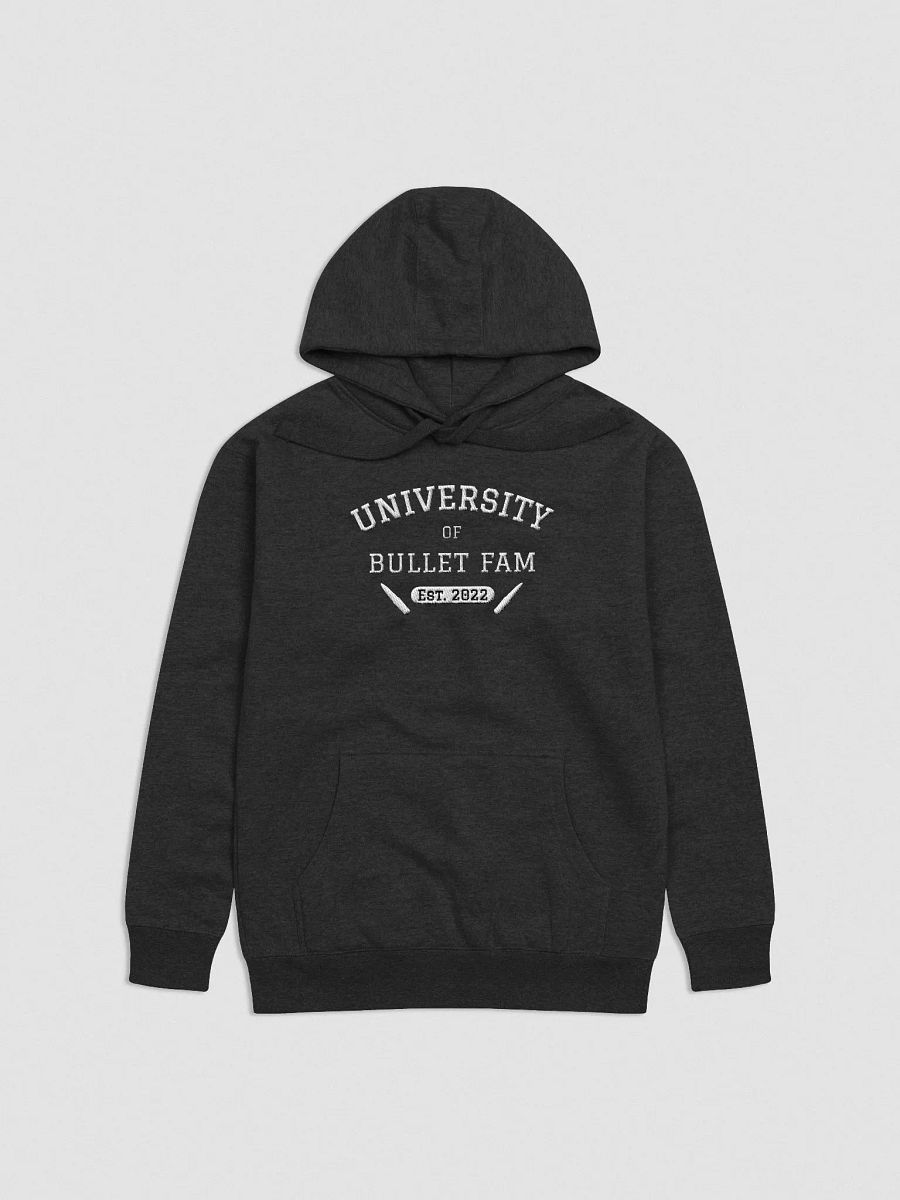 UBF Hoodie- Embroidered product image (1)